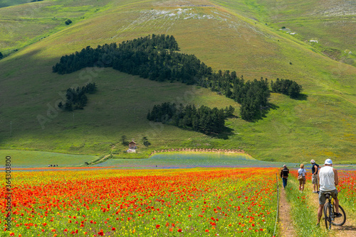 Castelluccio di Norcia, uno splendido borgo dell'Umbria distrutto dal terremoto del 2016 photo