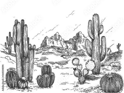 Desert landscape. Hand drawn mexican prairie with plants and blooming cactuses, prickly succulents nature wild west sketch vector background. Scenery with rock and mountain, environment