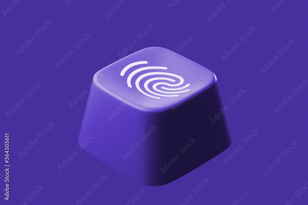 Privacy on the web. Fingerprint on computer key. 3D illustration. Privacy on the web. Fingerprint on computer key. 3D illustration.