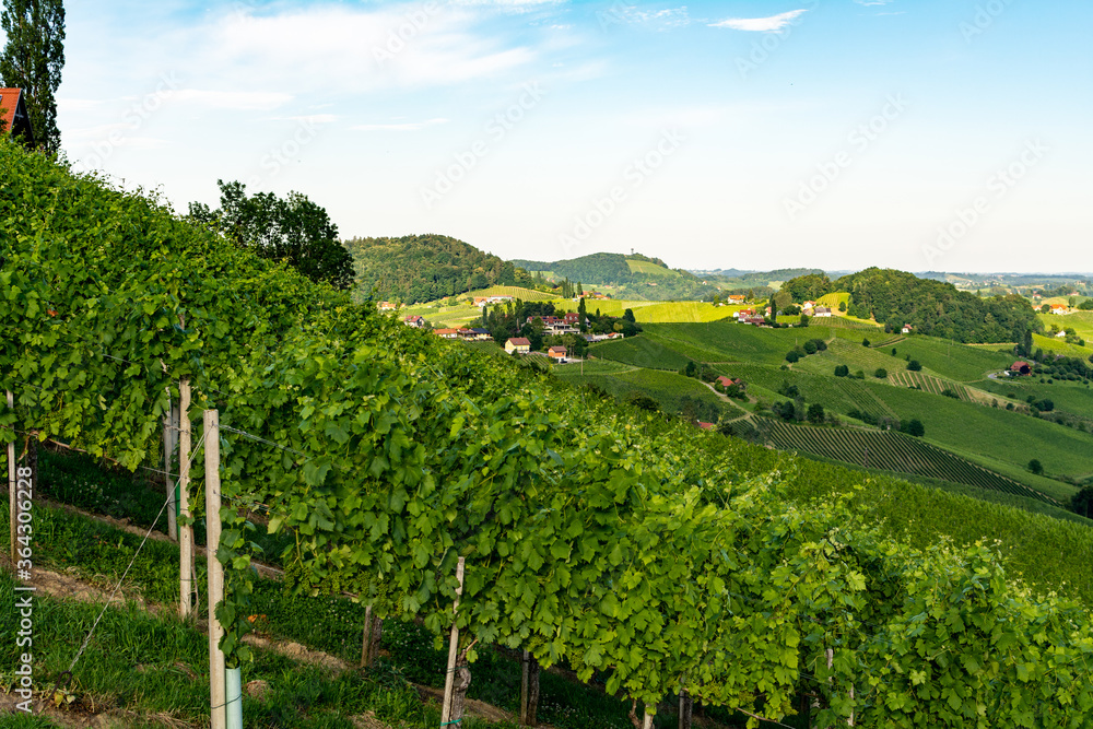 View from famous wine street in south Styria (Südsteiermark), Austria on Tuscany like vineyard hills. Tourist destination