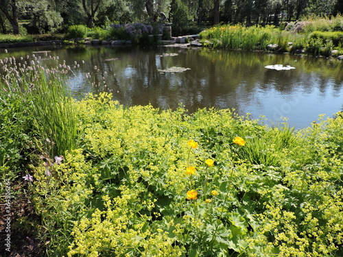 pond with flowers, Kotka, Finland