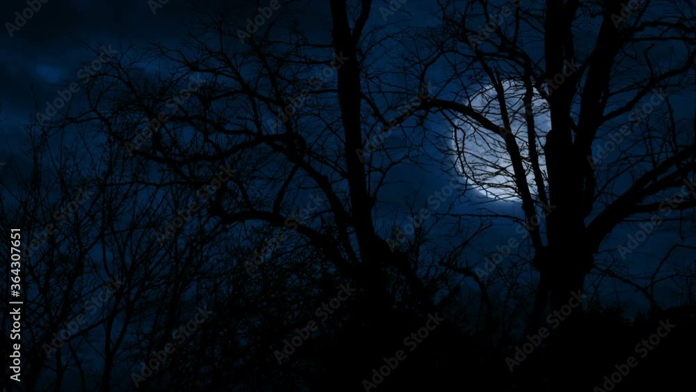 Moon Seen Through The Trees On Windy Night Moon Seen Through The Trees On Windy Night
