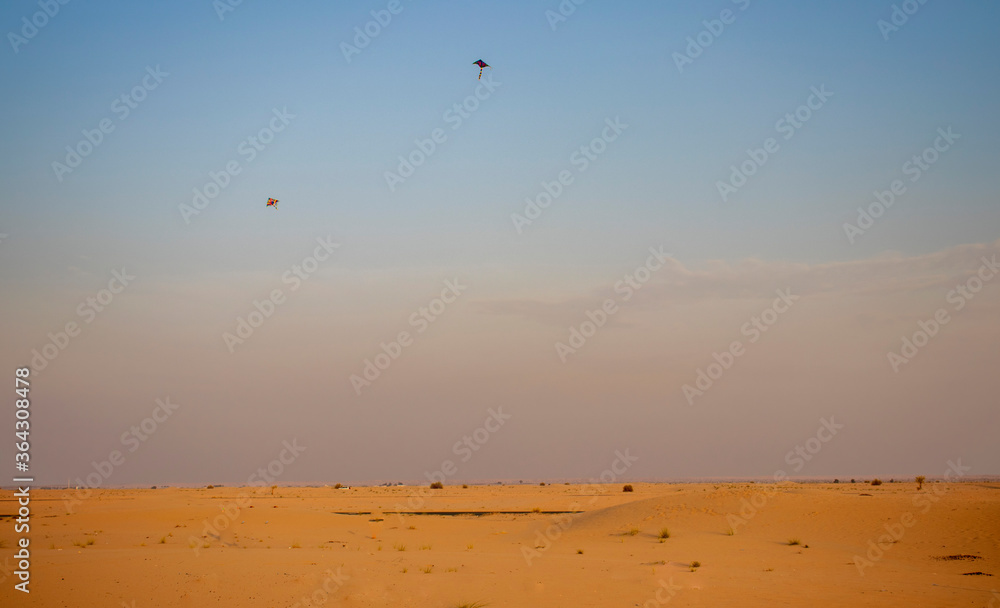 Kites in the sky over the desert Kites in the sky over the desert