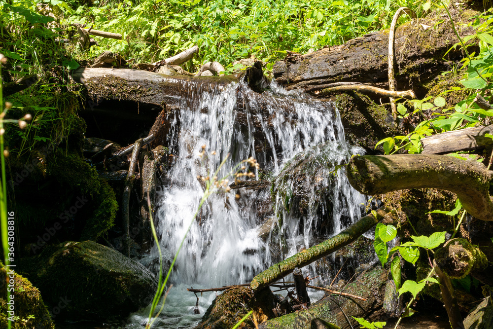 Forest landscape with an idyllic stream in Summer in South Styria, Austria Forest landscape with an idyllic stream in Summer in South Styria, Austria