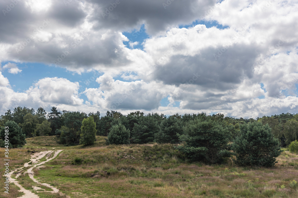 Wolkenlucht boven het Rozendaalseveld bij Arnhem