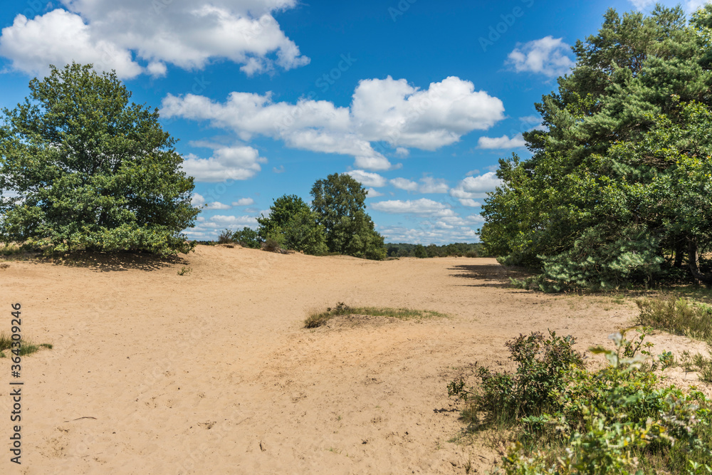 Zandverstuiving op het Rozendaalse veld, Rozendaal bij Arnhem Zandverstuiving op het Rozendaalse veld, Rozendaal bij Arnhem