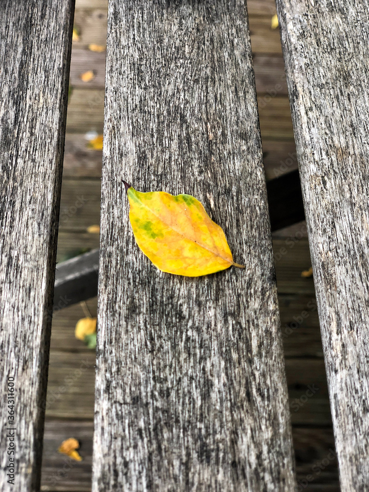 dried yellow autumn leaf on a wooden table