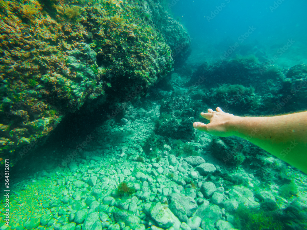 Fototapeta premium man swimming underwater looking sea bottom