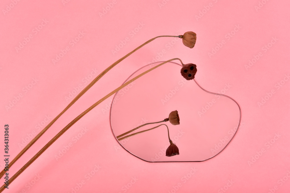 Reflection of dry natural leaf flower on asymmetric free form mirror, Water raindrop mirror reflect on pink pastel background, Minimal style with copyspace