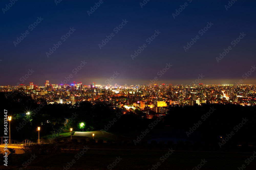 旭山記念公園から札幌の街の夜景
