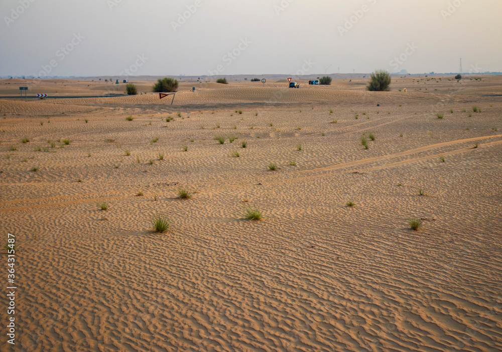 Fototapeta premium sand dunes in the desert