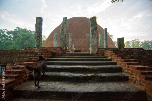 Konstfotografi ancien temple  bouddhiste en brique dit Stupa dagoba au lever du soleil au Sri L