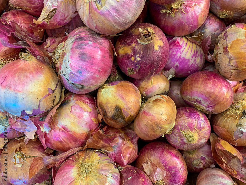 Close up of orange onions fresh organic Close up of orange onions fresh organic