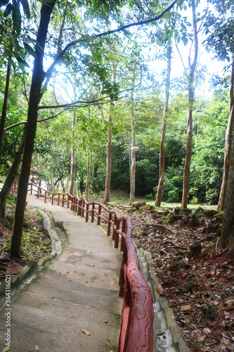 historical steps with wooden railing and trees on side in jungle
