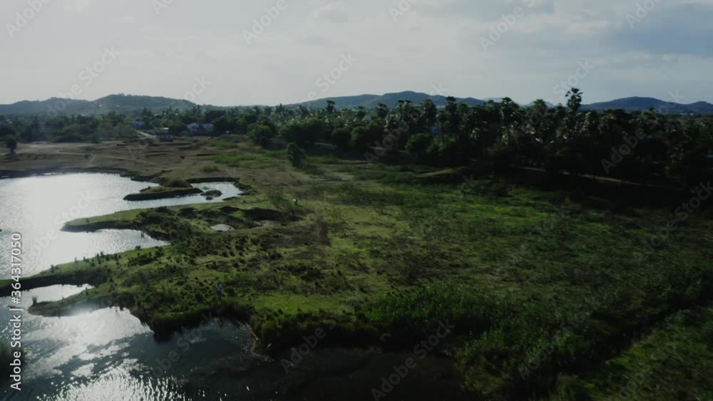 Aerial drone shots of Palm tree and Lake Aerial drone shots of Palm tree and Lake