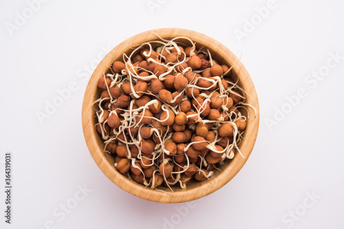 Black chana or brown chickpeas sprouts in a bowl. selective focus