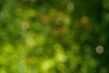 Fotobehang Hotel Groene abstracte natuurachtergrond  © Azahara MarcosDeLeon