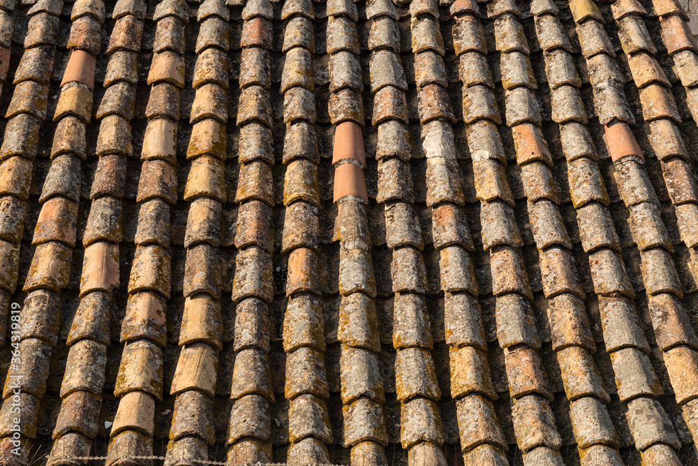 texture of the roof tile texture of the roof tile
