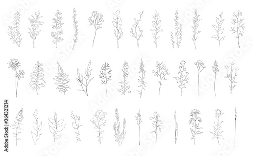 Set of linear contour sketch herbs. Floral collection.