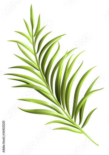 Green palm branch. Element for your design. Vector illustration © VETOCHKA