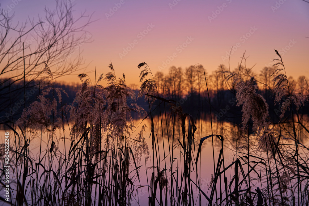 Naklejka premium Abendstimmung Winter