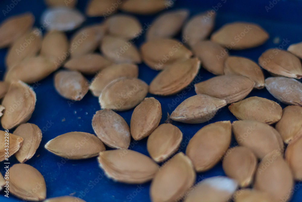 Peach kernels Peach kernels