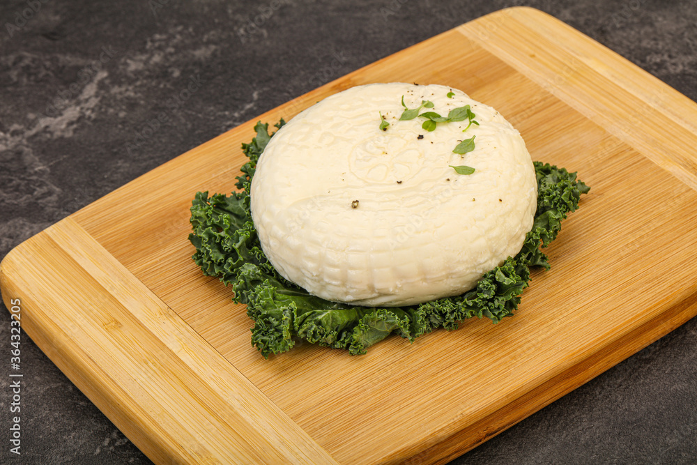 Caucasian suluguni round cheese piece Caucasian suluguni round cheese piece