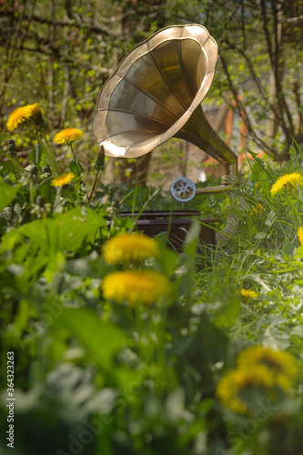 old vintage gramophone in the garden