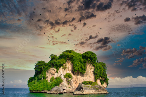 Fotografie frigate birds over an island in the caribbean