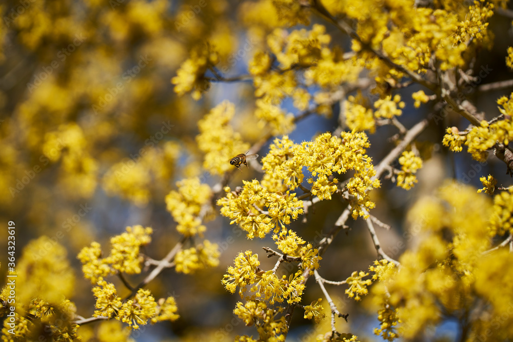 Natur Natur