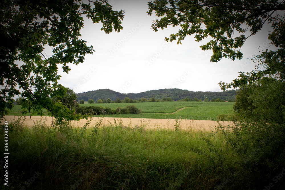 Obraz premium Landschaft im Sommer , Fotografiert in Bayern