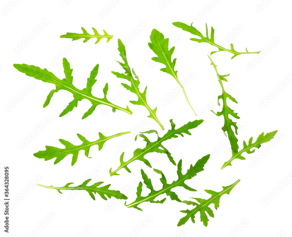 Green fresh rucola or arugula leaf isolated on white background. Top view. Flat lay pattern Green fresh rucola or arugula leaf isolated on white background. Top view. Flat lay pattern