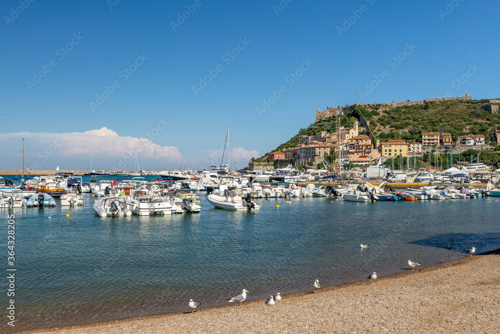Seagulls on the beach of the marina of Porto Ercole on a sunny day, Argentario, Italy