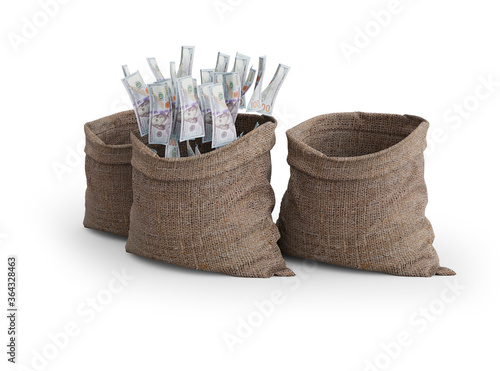 3d rendering concept of money falling in bag on white background with shadow