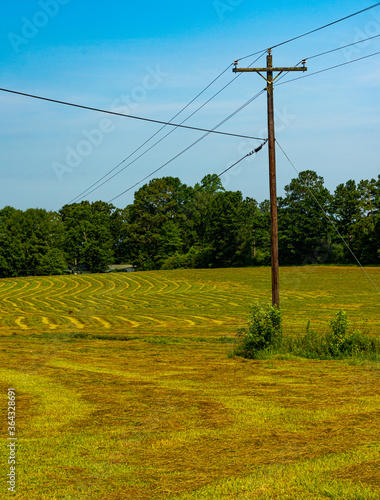 Rural Electricity