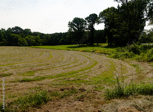 Rural Field for Farming