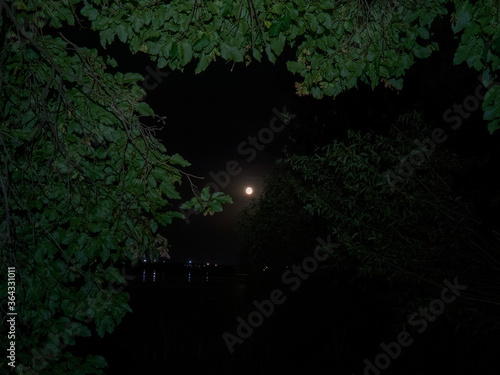 Night landscape with the moon over the Voronezh reservoir