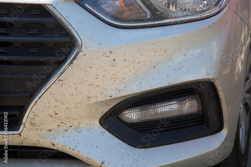 Insects on the bumper of the car. Dirty car from insects.