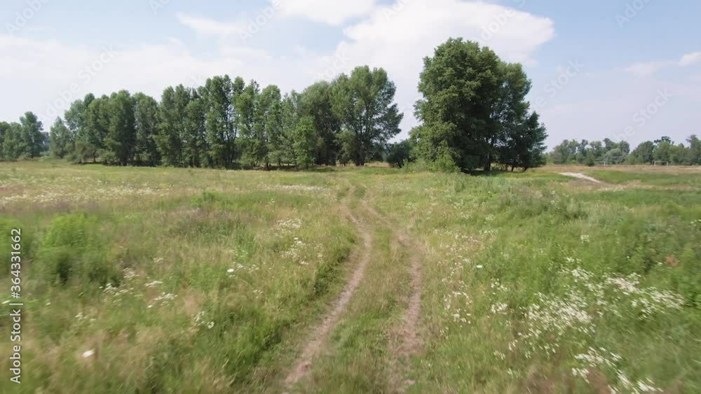Flying above a path in a green field full of grass and flowers towards the big trees. Summer nature landscape. Aerial drone footage. Flying above a path in a green field full of grass and flowers towards the big trees. Summer nature landscape. Aerial drone footage.