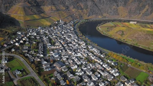 Flight over of autumn Bremm vineyards and Mosel river meander, Germany. photo