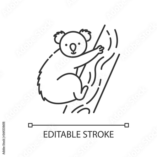 Koala pixel perfect linear icon. Exotic wildlife thin line customizable illustration. Contour symbol. Adorable koala bear sitting on eucalyptus tree vector isolated outline drawing. Editable stroke