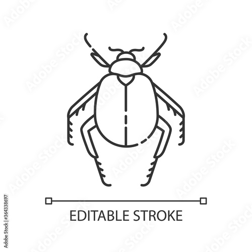 Scarab beetle pixel perfect linear icon. Small arthropod, egyptian bug, desert inhabitant. Thin line customizable illustration. Contour symbol. Vector isolated outline drawing. Editable stroke
