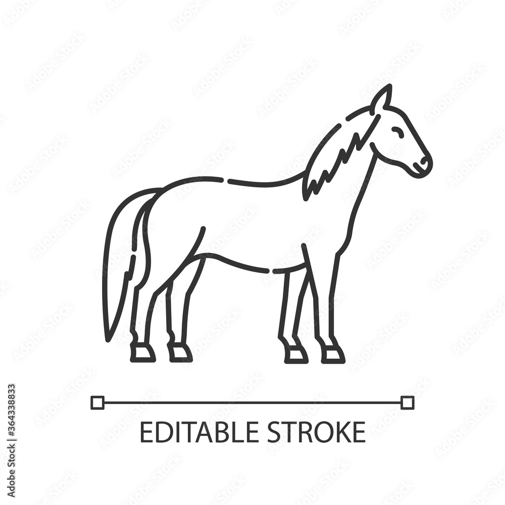 Horse pixel perfect linear icon. Wild stallion, common steed. Equestrian sport, horse breeding thin line customizable illustration. Contour symbol. Vector isolated outline drawing. Editable stroke Horse pixel perfect linear icon. Wild stallion, common steed. Equestrian sport, horse breeding thin line customizable illustration. Contour symbol. Vector isolated outline drawing. Editable stroke