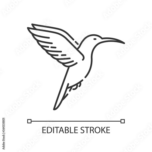 Hummingbird pixel perfect linear icon. South and North America fauna. Ornithology thin line customizable illustration. Contour symbol. Tiny colibri vector isolated outline drawing. Editable stroke