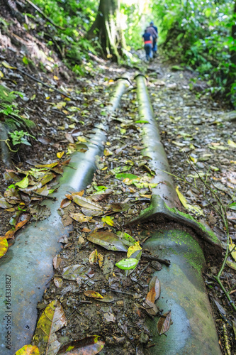 Water pipes in tropical rainforest in Costa Rica photo