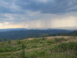 Panorama of the Carpathian mountains, covered with rain, sky with dark clouds and lightning, the mountainous slope of the porch yellow-green, burnt out in summer sun grass, pink flowers of willow-herb