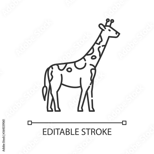 Giraffe pixel perfect linear icon. Exotic animal with long neck. Tropical zoo thin line customizable illustration. Contour symbol. Tall camelopard vector isolated outline drawing. Editable stroke