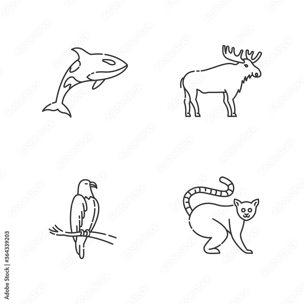 Different animal species pixel perfect linear icons set. Killer whale, exotic lemur, eagle and elk customizable thin line contour symbols. Isolated vector outline illustrations. Editable stroke