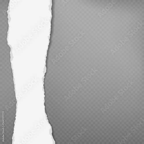 Piece of torn vertical white paper with soft shadow is on dark grey squared background for text. Vector illustration