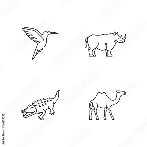 Exotic animals pixel perfect linear icons set. Customizable thin line contour symbols. Little hummingbird  camel  alligator and rhinoceros. Isolated vector outline illustrations. Editable stroke